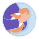 Midwifery and Pregnancy