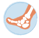 Orthopedics and Fracture